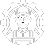 Team Icon